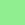 pale green2